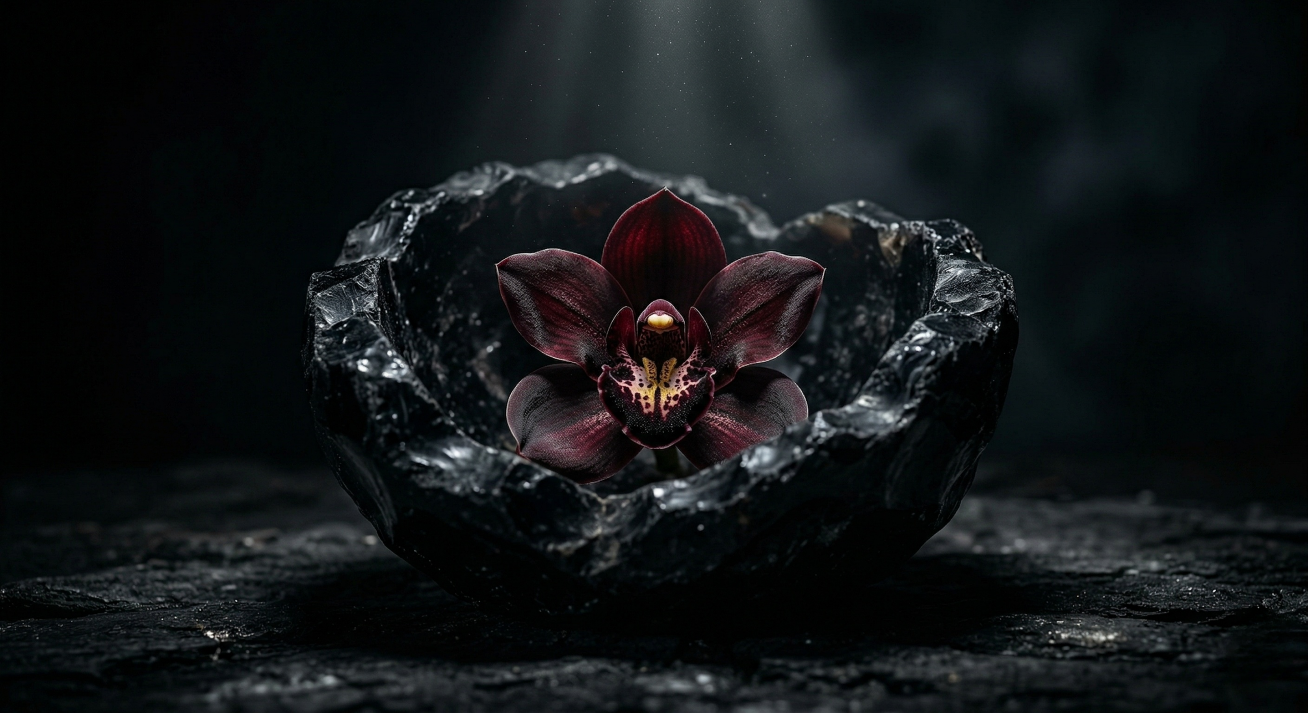 dominance-as-care-obsidian-basin-guardian-flower-worship